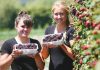 Students Adele Walker, left, and Sonja Walsh with some boysenberries they picked working at Berrylands on the Appleby Highway last week. Photo: Simon Bloomberg.
