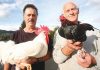 Nelson Poultry and Pigeon Association members, Rodger Buschl, left, and Barry Bensemann with two of the birds they will be entering in the association’s annual show at the Hope Hall over Queen’s Birthday Weekend. Photo: Simon Bloomberg.
